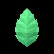 Bó Hé - Jay Chou's Fantasy Music Universe